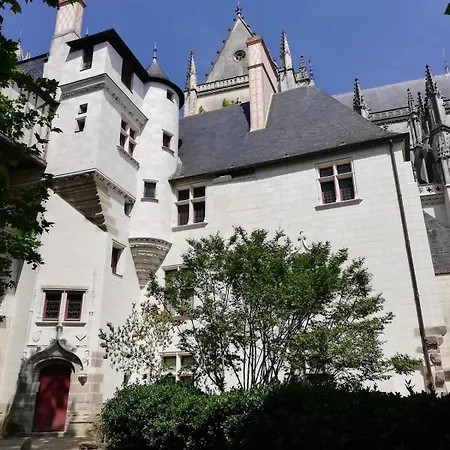 Lejlighed Joli Cozy, Balcon, Cite Des Congres, Gare Sud Nantes