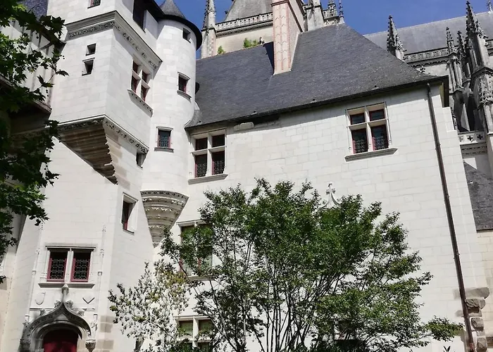 شقة Joli Cozy, Balcon, Cite Des Congres, Gare Sud نانت